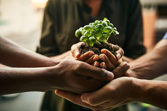 Community Development Project